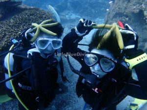 ダイビングライセンス
愛媛 柏島 愛南