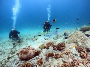 体験ダイビング　柏島