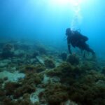 Diving School AINAN KASHIWAJIMA